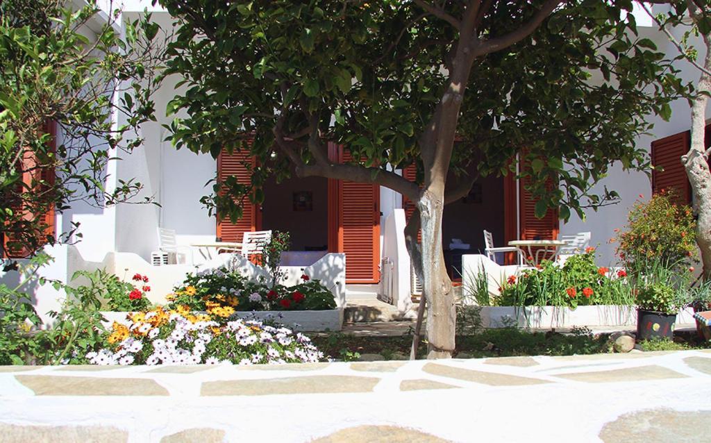 Helios Serifos Livadi  Buitenkant foto